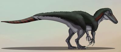 Okira the Megaraptor
art by altairxxx
Keywords: dinosaur;theropod;raptor;megaraptor;feral;solo;cloaca;altairxxx