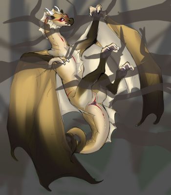 Tree Wyvern
art by amiel
Keywords: dragoness;wyvern;female;feral;solo;cloaca;presenting;amiel