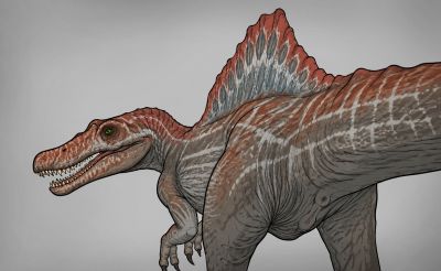 Spinosaur
unknown creator
Keywords: dinosaur;theropod;spinosaurus;female;feral;solo;vagina;presenting