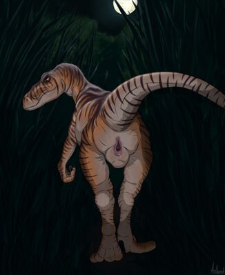 Jurassic Park Velociraptor
art by antlered
Keywords: jurassic_park;dinosaur;theropod;raptor;velociraptor;female;feral;solo;cloaca;spread;spooge;antlered
