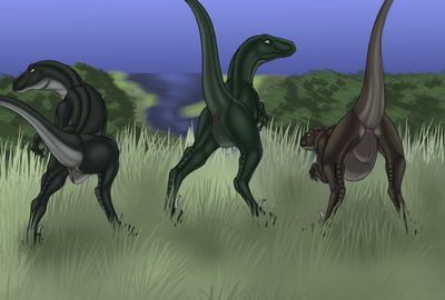 Raptor Tails
art by araisen
Keywords: dinosaur;theropod;raptor;female;feral;solo;cloaca;araisen