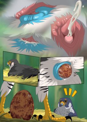 Falcons Mating 2
art by arf-fra
Keywords: avian;bird;falcon;male;female;feral;M/F;from_behind;cloacal_penetration;closeup;egg;oviposition;spooge