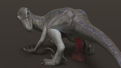 Blue
art by asuros
Keywords: jurassic_world;dinosaur;theropod;raptor;deinonychus;blue;female;feral;solo;dildo;masturbation;cloacal_penetration;cgi;asuros