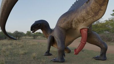Tenontosaurus Presenting
art by asuros
Keywords: dinosaur;hadrosaur;tenontosaurus;male;feral;solo;penis;presenting;cgi;asuros