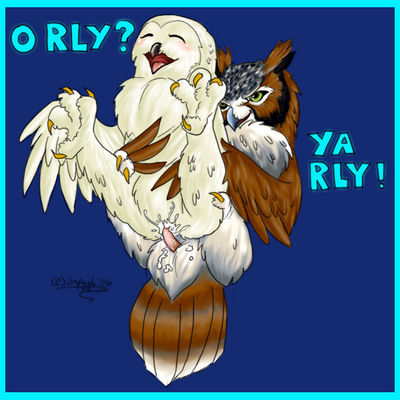 ORLY Owls Meme
art by windpaw
Keywords: avian;bird;owl;male;female;feral;M/F;penis;reverse_cowgirl;spooge;humor;meme;windpaw