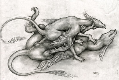 Riding A Hippogryph
art by awe
Keywords: hippogryph;male;female;feral;M/F;penis;cowgirl;vaginal_penetration;awe
