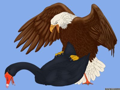 Swan and Eagle
art by backlash91
Keywords: avian;bird;eagle;swan;male;female;feral;M/F;from_behind;suggestive;backlash91