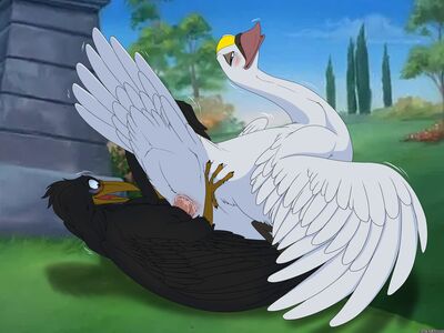 Jeremy and Princess_Odette
art by backlash91
Keywords: cartoon;secret_of_nimh:jeremy;crow;swan;avian;bird;male;female;feral;M/F;penis;reverse_cowgirl;cloacal_penetration;backlash91