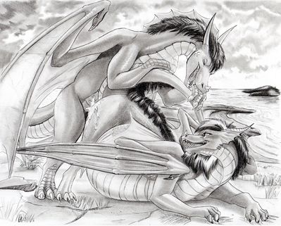 Mandara and Vexation Mating
art by beuwens-folder
Keywords: dragon;dragoness;male;female;feral;M/F;penis;from_behind;spooge;beach;beuwens-folder