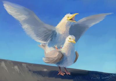 Seagulls Mating
art by black-striped_fox
Keywords: avian;bird;seagull;male;female;feral;M/F;from_behind;black-striped_fox