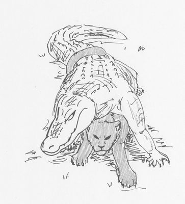 Kroko x Panther
art by blackpanther1987
Keywords: crocodilian;crocodile;furry;feline;panther;male;female;feral;M/F;from_behind;blackpanther1987