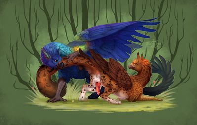 Mating Gryphons
art by blacksundi
Keywords: gryphon;male;feral;M/M;penis;from_behind;presenting;suggestive;blacksundi