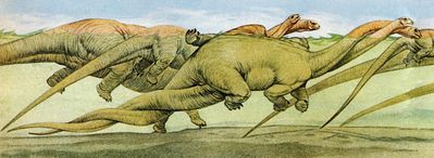 Brontosaurs Mating Underwater
art by Giovanni Caselli
Keywords: dinosaur;sauropod;brontosaurus;male;female;feral;M/F;from_behind;giovanni_caselli
