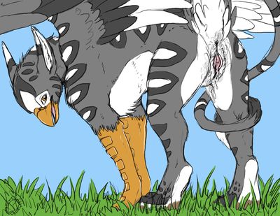 Veshiri Messy
art by acidapluvia
Keywords: gryphon;female;feral;solo;vagina;spooge;acidapluvia