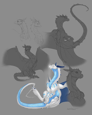 Byzil Sketches
art by sefeiren
Keywords: dragoness;byzil;female;feral;solo;non-adult;sefeiren