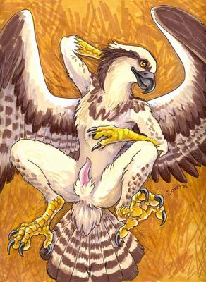 Osprey
art by caribou
Keywords: avian;bird;osprey;anthro;male;solo;penis;caribou