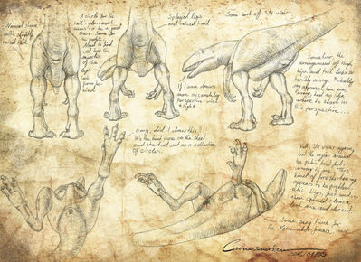 Neovenator
art by carnosaurian
Keywords: dinosaur;theropod;neovenator;female;feral;solo;cloaca;presenting;carnosaurian