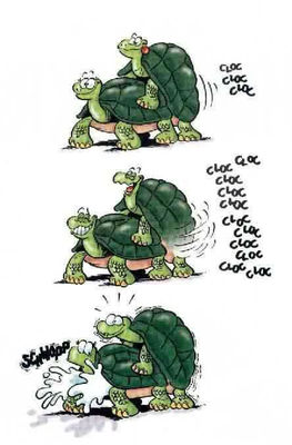 Turtles Having Sex
unknown artist
Keywords: comic;chelonian;tortoise;male;female;feral;M/F;from_behind;humor