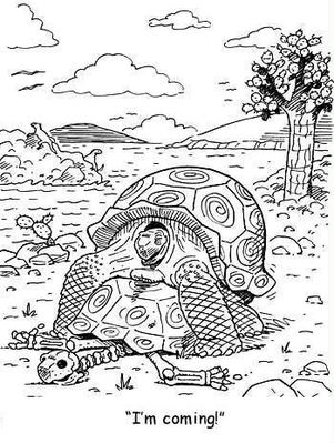 Coming 2
unknown artist
Keywords: comic;chelonian;tortoise;male;female;feral;M/F;from_behind;humor