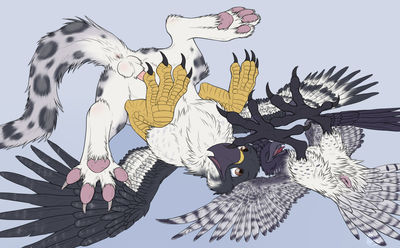 Auspex x Noxy
art by catwolf

Keywords: gryphon;avian;eagle;hawk;male;feral;M/M;penis;cloaca;catwolf