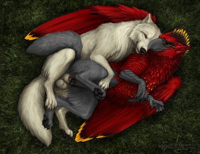 Raz and Fuzz
art by -cedarwolf
Keywords: gryphon;furry;canine;wolf;male;feral;M/M;penis;spoons;anal;-cedarwolf