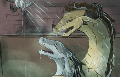 Hot Shower (Wings_of_Fire)
art by celery_kin
Keywords: wings_of_fire;icewing;sandwing;hybrid;dragon;dragoness;male;female;feral;M/F;from_behind;suggestive;shower;celery_kin