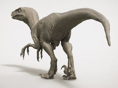 Raptor
unknown artist
Keywords: dinosaur;theropod;raptor;feral;solo;cloaca;cgi