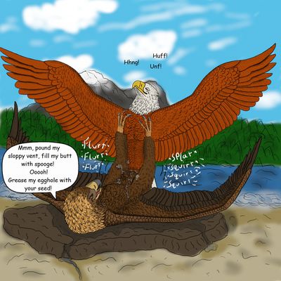 Colin Gift
art by uppmap123
Keywords: avian;bird;hawk;eagle;feral;male;M/M;missionary;spooge;uppmap123