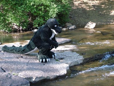 Codex the Alligator
created by codex
Keywords: crocodilian;alligator;anthro;solo;cosplay;non-adult