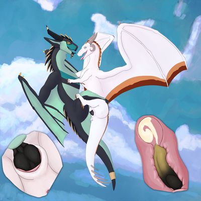 Sky Mating (internal)
art by darkdragon009
Keywords: dragon;dragoness;male;female;feral;M/F;penis;missionary;vaginal_penetration;internal;closeup;spooge;darkdragon009