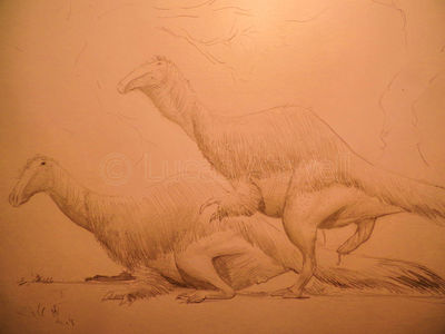 Deinocheirus Mating
art by lucas_attwell
Keywords: dinosaur;deinocheirus;male;female;feral;M/F;penis;cloaca;from_behind;lucas_attwell