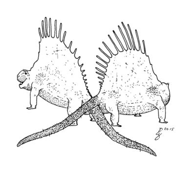 Dimetrodon Mating
art by traheripteryx
Keywords: reptile;dimetrodon;male;female;feral;M/F;from_behind;traheripteryx