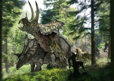 Triceratops Sex
art by Jose Antonio Penas
Keywords: dinosaur;ceratopsid;triceratops;male;female;feral;M/F;from_behind;cgi;jose_antonio_penas