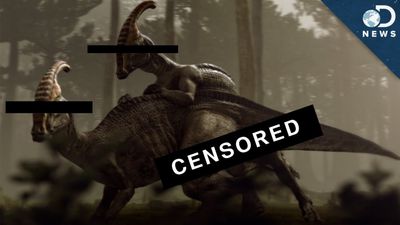 Censored Parasaurolophus Sex
modified screen capture
Keywords: dinosaur;hadrosaur;parasaurolophus;male;female;feral;M/F;from_behind;cgi;clash_of_the_dinosaurs;humor