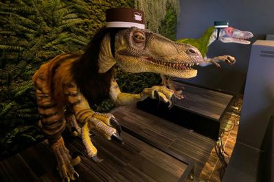 Raptor Bellhops
unknown creator
Keywords: dinosaur;theropod;raptor;robot;feral;solo;non-adult;bizarre
