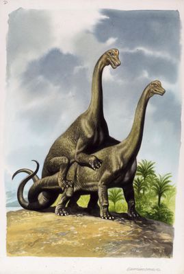 Diplodocus Mating
art by Ron Embleton
Keywords: dinosaur;sauropod;diplodocus;male;female;feral;M/F;from_behind;ron_embleton