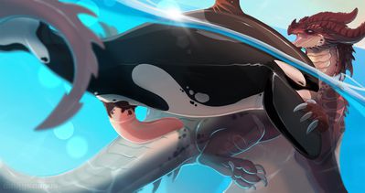 Whale Watching
art by dnk-anais
Keywords: dragoness;furry;cetacean;orca;male;female;feral;M/F;penis;missionary;suggestive;dnk-anais