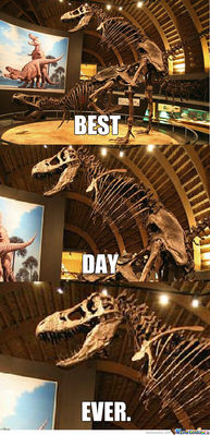 Doesn't Matter, Had Sex
unknown creator
Keywords: dinosaur;theropod;tyrannosaurus_rex;trex;male;female;feral;M/F;from_behind;skeleton;meme;humor