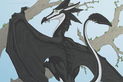 Skyshadow
art by ssthisto
Keywords: dragon;wyvern;male;feral;solo;non-adult;ssthisto