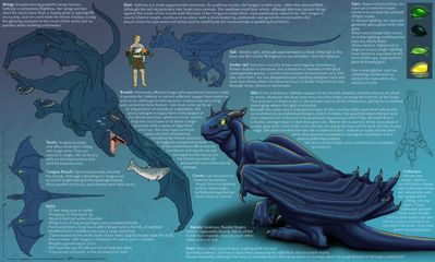 Ssthisto Reference
art by ssthisto
Keywords: dragoness;female;feral;solo;reference;non-adult;ssthisto