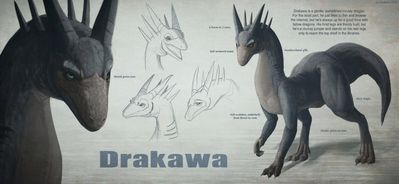 Drakawa Reference 2
art by drakawa
Keywords: dragon;male;feral;solo;reference;non-adult;drakawa