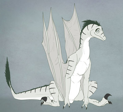 Slash0x the Wyvern
art by drakawa
Keywords: dragon;wyvern;male;feral;solo;non-adult;drakawa