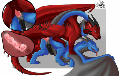 Blue and Red 1
art by dreiko94
Keywords: dragon;syrazor;male;feral;M/M;penis;from_behind;anal;closeup;;internal;spooge;dreiko94