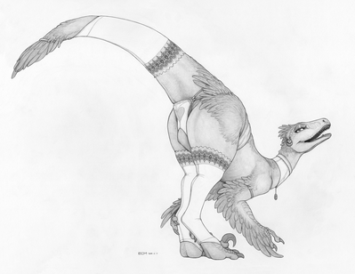 Raptor Lingerie
art by ecmajor
Keywords: dinosaur;theropod;raptor;female;feral;solo;lingerie;suggestive;presenting;ecmajor