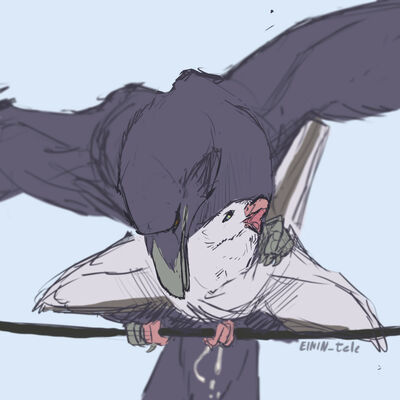 Ravens 1
art by einin_fur
Keywords: avian;bird;raven;male;female;feral;M/F;from_behind;suggestive;spooge;einin_fur