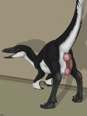 Velociraptor Exposed
art by elster
Keywords: dinosaur;theropod;raptor;velociraptor;male;feral;solo;penis;elster
