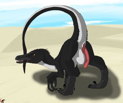 Bartek Raptor
art by equalicus
Keywords: dinosaur;theropod;raptor;deinonychus;male;feral;solo;penis;beach;equalicus