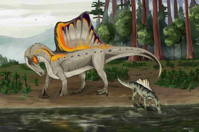 Spinosaur Family
art by erganyfox
Keywords: dinosaur;theropod;spinosaurus;feral;hatchling;non-adult;erganyfox