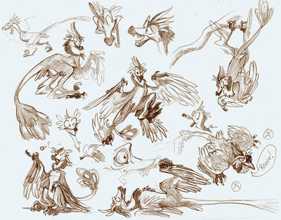 Microraptor Sketches
art by fable
Keywords: dinosaur;theropod;microraptor;feral;solo;reference;non-adult;fable