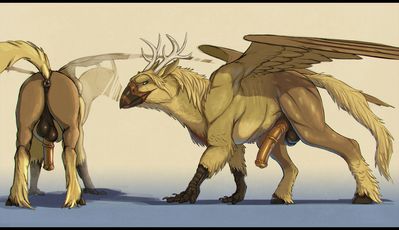 Baloryn
art by falcrus
Keywords: gryphon;hippogriff;male;feral;solo;penis;falcrus